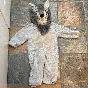 Gray Wolf Kids Costume